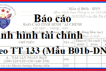 Cách lập báo cáo tính tài chính Mẫu B01b-DNN theo TT 133