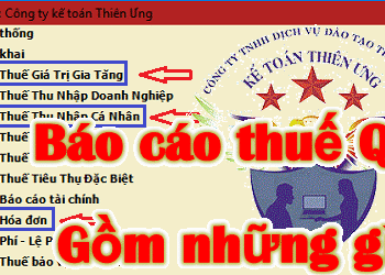 Các loại báo cáo thuế phải nộp hàng Tháng và Quý