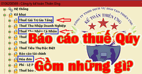 Các loại báo cáo thuế phải nộp hàng Tháng và Quý