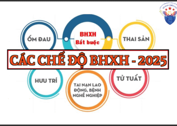 Các chế độ bảo hiểm xã hội 2025 mới nhất theo Luật BHXH