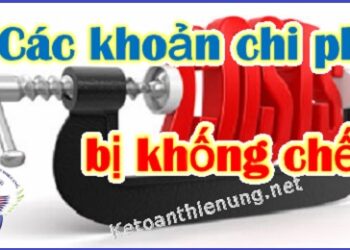 Các khoản chi phí bị khống chế mức được tính làm chi phí được trừ năm 2025