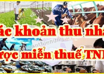 Các khoản thu nhập được miễn thuế thu nhập doanh nghiệp 2025