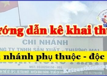 Hướng dẫn kê khai thuế chi nhánh hạch toán phụ thuộc và độc lập