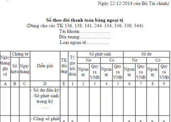 Cách lập Sổ theo dõi thanh toán bằng ngoại tệ