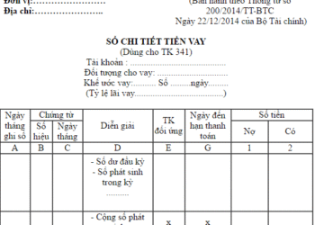 Cách lập sổ chi tiết tiền vay theo Thông tư 200