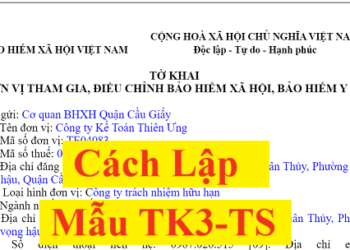 Cách lập Mẫu TK3-TS theo Quyết định 490/QĐ-BHXH mới nhất năm 2025