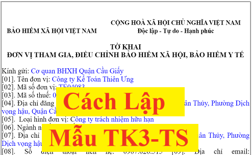 Cách lập Mẫu TK3-TS theo Quyết định 490/QĐ-BHXH mới nhất năm 2025