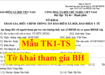 Cách lập Mẫu TK1-TS Tờ khai tham gia BHXH theo Quyết định 490/QĐ-BHXH