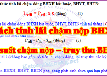 Lãi suất chậm nộp BHXH 2025 – Cách tính lãi đóng chậm BHXH