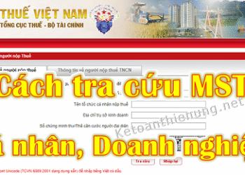 Cách tra cứu mã số thuế Cá nhân, Công ty online