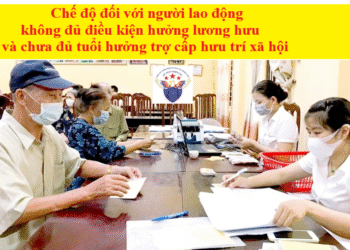 Chế độ đối với người lao động không đủ điều kiện hưởng lương hưu và chưa đủ tuổi hưởng trợ cấp hưu trí xã hội