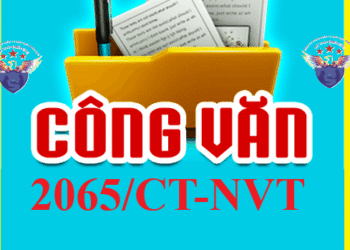 Công văn 2065/CT-NVT sử dụng số định danh thay mã số thuế