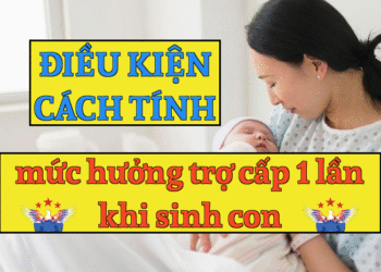 Điều kiện và cách tính mức hưởng trợ cấp một lần khi sinh con 2025