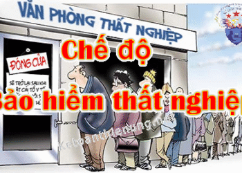 Chế độ Bảo hiểm thất nghiệp 2025 – Điều kiện hưởng, mức hưởng