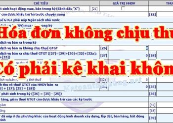 Hóa đơn không chịu thuế có kê khai không