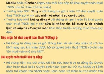Cách hoàn thuế thu nhập cá nhân tự động qua Etax 2025