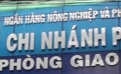 Kê khai thuế GTGT cho chi nhánh hạch toán độc lập như thế nào