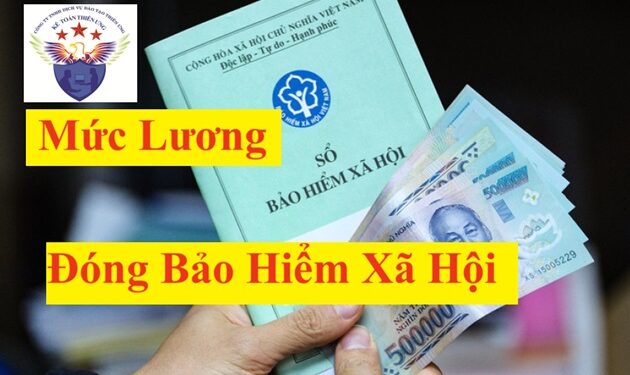 Mức lương đóng Bảo hiểm xã hội năm 2025 mới nhất hiện nay