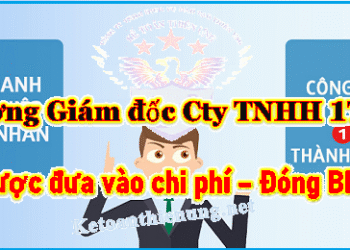 Quy định về tiền lương của giám đốc Công ty TNHH 1TV, DNTN