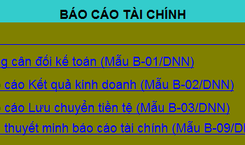 Mẫu báo cáo tài chính Excel theo Quyết định 48 và TT 200 mới nhất