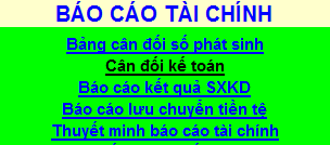 Mẫu báo cáo tài chính theo quyết định 15 Excel
