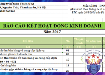 Mẫu báo cáo kết quả hoạt động kinh doanh theo TT 200 và 133
