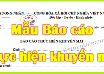 Mẫu báo cáo kết quả thực hiện khuyến mại Mẫu số 07