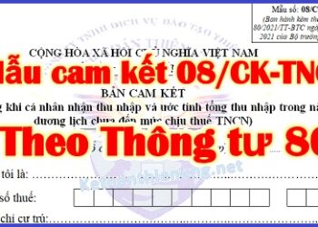 Mẫu cam kết thuế TNCN 08/CK-TNCN mới nhất năm 2025