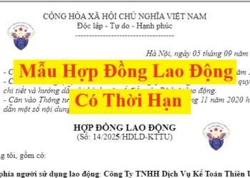 Mẫu hợp đồng lao động có thời hạn mới nhất năm 2025