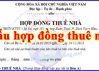 Mẫu hợp đồng thuê nhà làm văn phòng Công ty mới nhất năm 2025