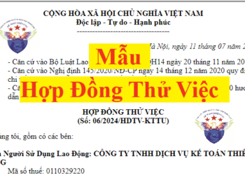 Mẫu hợp đồng thử việc mới nhất 2025 theo đúng quy định tại Bộ luật Lao động