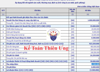 Cách làm Phụ lục 03-1A/TNDN Phụ lục kết quả hoạt động sản xuất kinh doanh