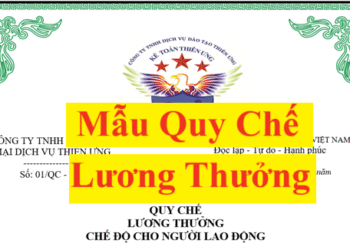 Mẫu quy chế lương thưởng phụ cấp công ty Cổ phần, TNHH mới nhất 2025