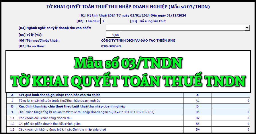 Mẫu số 03/TNDN tờ khai quyết toán thuế thu nhập doanh nghiệp theo TT 80/2021