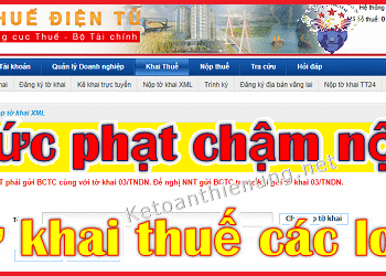 Mức phạt nộp chậm tờ khai thuế GTGT, TNCN, TNDN, Môn bài