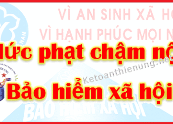 Mức phạt chậm đóng BHXH năm 2025 mới nhất