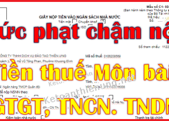 Cách tính tiền phạt chậm nộp tiền thuế GTGT, TNCN, TNDN, Môn bài 2025