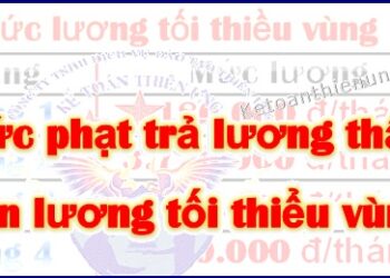 Mức phạt trả lương thấp hơn lương tối thiểu vùng