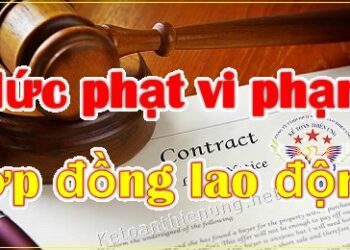 Mức phạt vi phạm hợp đồng lao động, không ký hợp đồng lao động