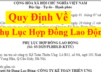 Quy định về phụ lục hợp đồng lao động mới nhất năm 2025