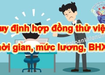 Quy định về lao động thử việc: thời gian, lương thử việc, BHXH, thuế TNCN