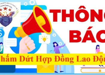 Thông báo chấm dứt hợp đồng lao động
