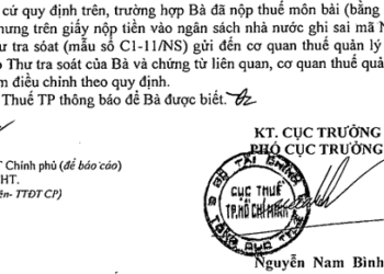 Thư tra soát C1-11/NS theo Thông tư 84