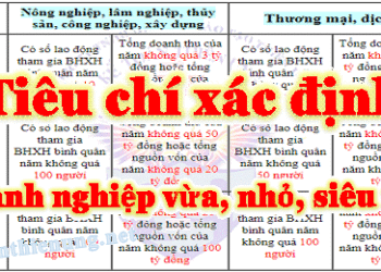 Quy định về doanh nghiệp nhỏ và siêu nhỏ – vừa