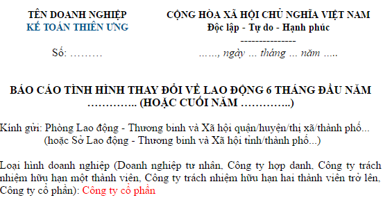 Mẫu 07 – Báo cáo tình hình sử dụng lao động theo Thông tư 23