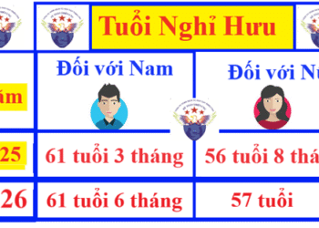 Tuổi nghỉ hưu của nữ, nam giới năm 2025 mới nhất