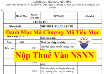 Danh sách mã chương, mã tiểu mục nộp thuế mới nhất năm 2026