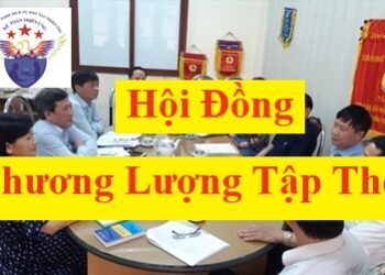 Hội đồng thương lượng tập thể: thành lập, chức năng, nhiệm vụ